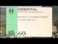 Netsky & Hybrid Minds - Let Me Hold You