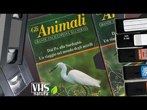 DAL PO ALLA SARDEGNA UN VIAGGIO NEL MONDO DEGLI UCCELLI