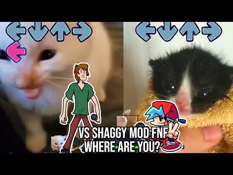 VS Shaggy Where are you? but HERBERT VS Towel Cat - Friday Night Funkin' Custom Animation
