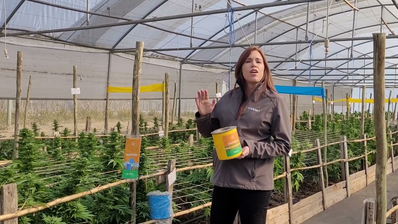 Video preview poster