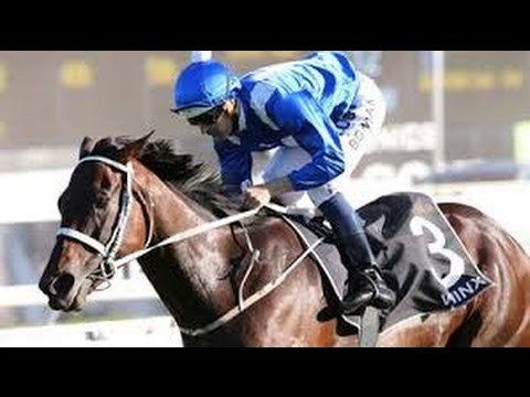 2016 TV News _ Winx  Eleven In A Row