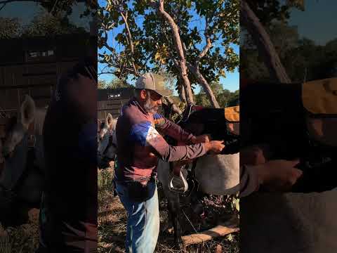 PARTE - 4 - PREPARAÇÃO PARA CAVALGADA JALAPÃO ENTRE SÃO FÉLIX TOCANTINS A MATEIROS.