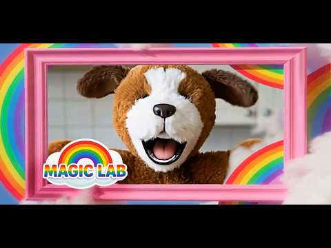 MAGIC LAB