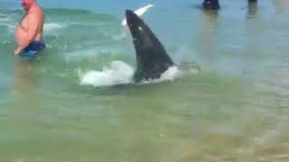 Welcome to #unspoilt Narooma