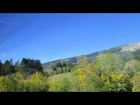 Love idiom -  joined at the hip