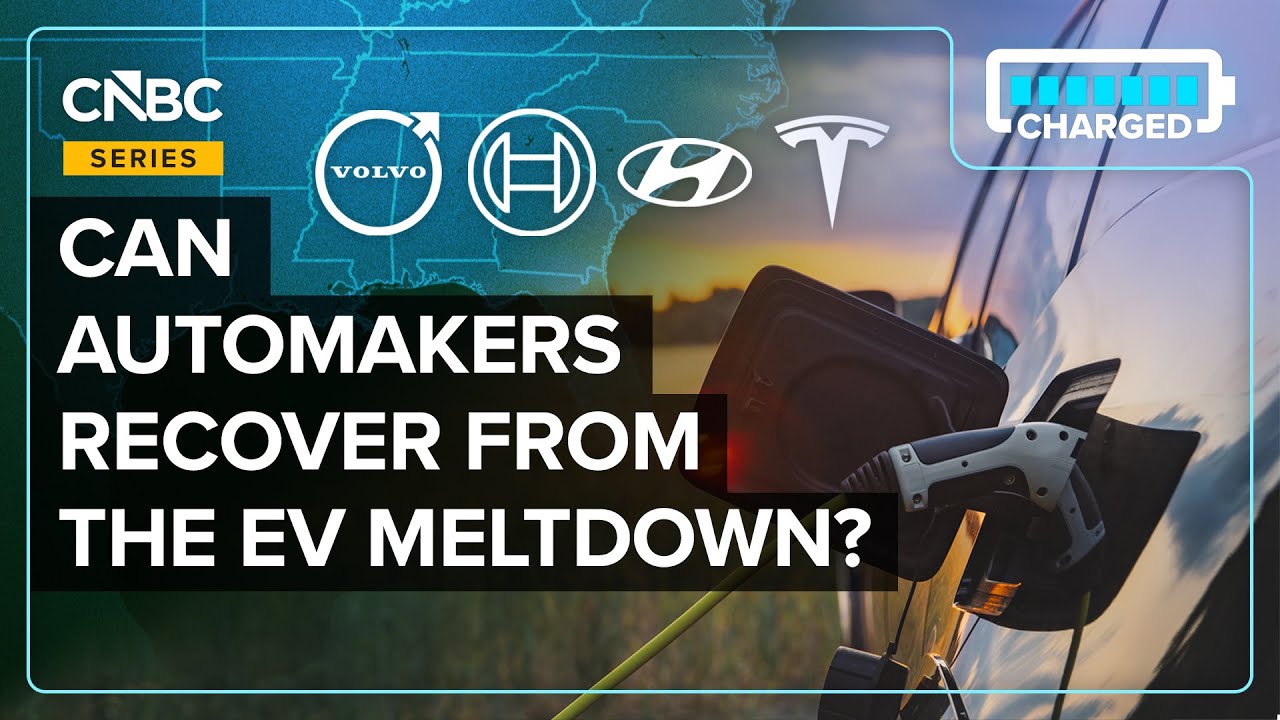 US EV sales growth slowdown  -  are American buyers hitting a wall?