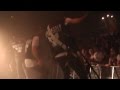 To The Rats And Wolves - Krawall und Remmidemmi ...