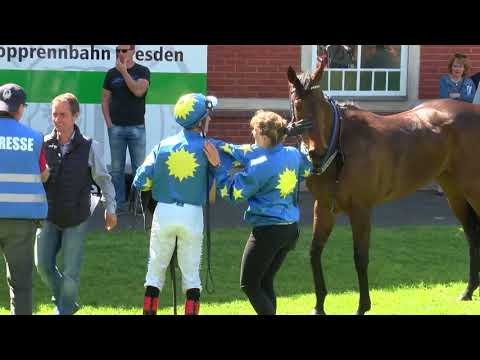 Galopprennbahn Dresden - 05.Mai 2018 - Rennen 7