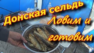 Рыбалка на дону сельдь где ловить