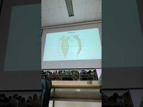 Ôn Thi SĐH Y PNT 2022 - GIẢI PHẪU HỆ XƯƠNG KHỚP 2