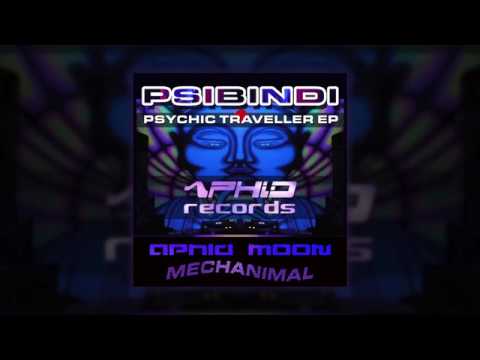 Mechanimal vs Psibindi - Chromatic Space [Aphid Records]