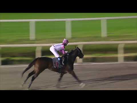 230708 c10 MAGA FEVER