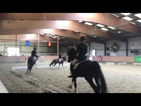 Glück Auf A - Dressurpferde A - 2. Platz, 7,7