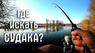 Ссылка