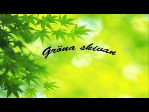 Coast Records – Den Gröna Skivan (2002)