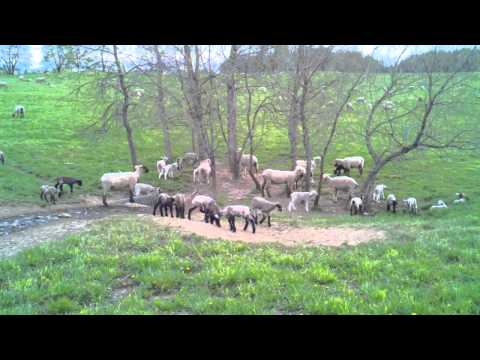 2011 05 08 20 13 48 527