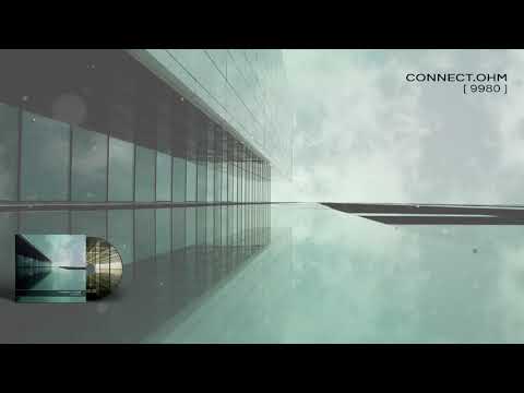 CONNECT.OHM - 9980 - 05 Fossil