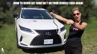 How to NEVER Get Bird POOP on Your Vehicle EVER again!