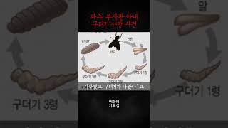 Download lagu 파주 부사관 아내 구더기 사망사건 mp3