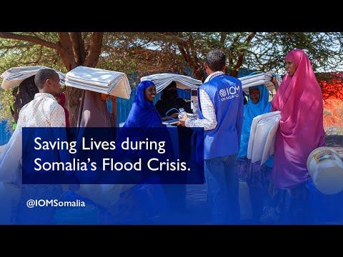 Saving Lives during Somalia’s Flood Crisis – IOM In Action.