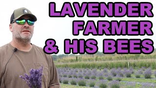 Beekeeping | A Lavender Farmer & His Bees
