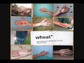 Wheat - I Met a Girl 