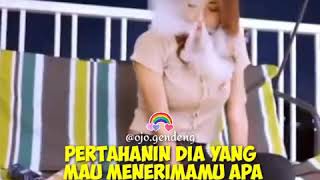 Download lagu Status wa story'wa cewek jago vape keren mp3 Download lagu Status wa story'wa cewek jago vape keren mp3