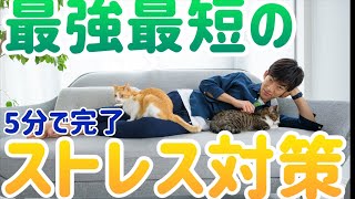最強最短のストレス解消法3選