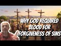 Why did God need Blood Sacrifice to Forgive Sins? | Sam Shamoun