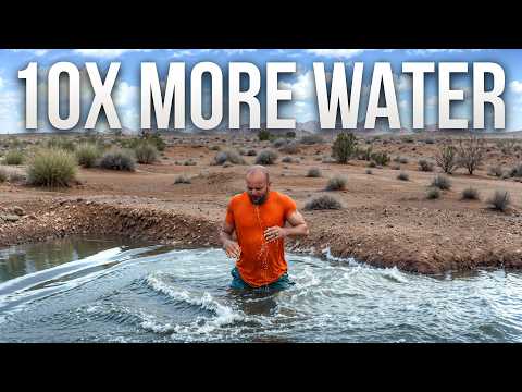 My Swale Just Caught More Water Than I Ever Expected