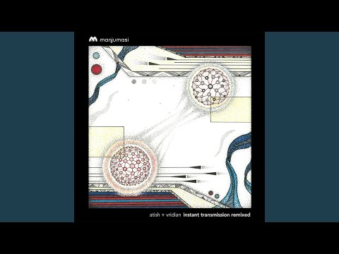 Instant Transmission (Mihai Popoviciu & Markus Homm Remix)