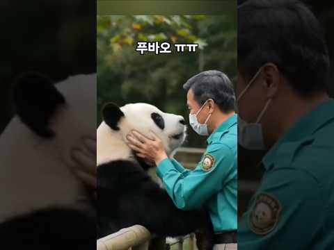 푸바오 !! 할비품에 안기는 날이 하루빨리 오기를...