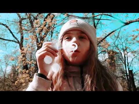 Миниатюра изображения товара Электросамокат Hoverbot D-05 / HVBTD5B