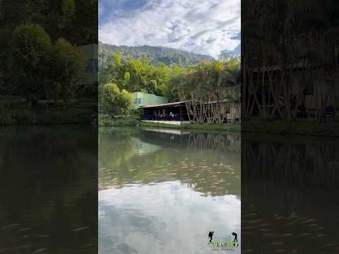 Restaurante Y Pescadería Los Lagos en #Somondoco, una combinación entre sabores y naturaleza.