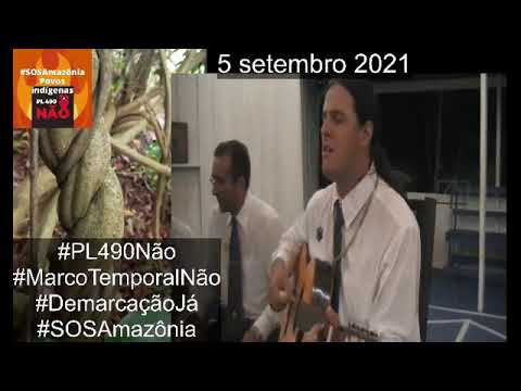 🌈 Salomão Rossy  cantos da floresta !!