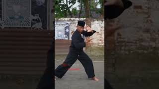 Download lagu SOLOSPEL PSHT Kang mas Sujarwo mp3