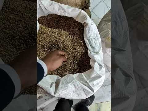 Pure coriander (dhaniya) powder, pp bag