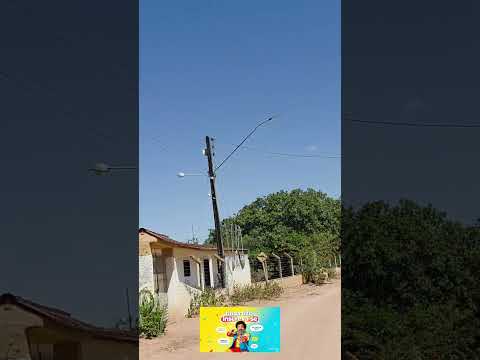 sítio algodãozinho área rural de palmeira dos índios Alagoas