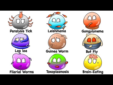Every DEADLIEST Parasite Explained in 14 Minutes