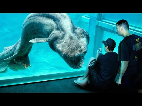 10 Criaturas PRÉ-HISTÓRICAS que estão vivas ATÉ HOJE