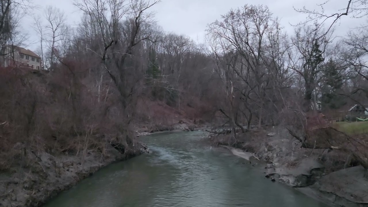 Alan Watts Reveals the TRUTH About New Year's Resolutions & Karma