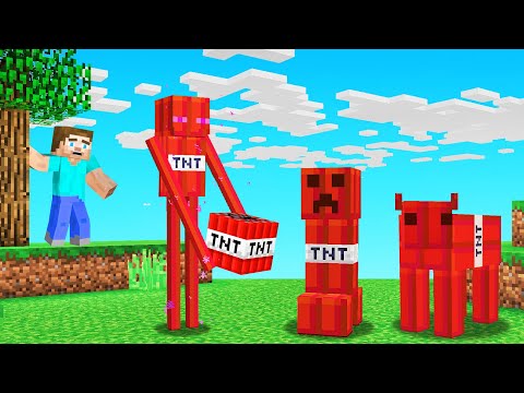 Minecraft BUT All MOBS = TNT!