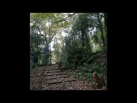 [FREE] midwest emo x skele x nothing, nowhere type beat - goodbyes