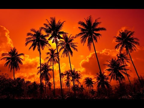 Freshly Baked 015 - Boom Bap / Instrumental Hip Hop / Chill - Mix