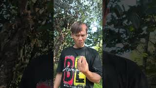 Download lagu mau ketawa takut dosa video lucu kocak bikin ngakak hiburan warga 62 meme trending funny mp3