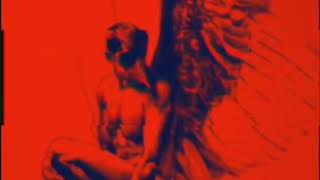 BROADCAST - Man is Not A Bird (Haha Sound, 2003)