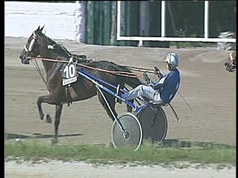 Trotto 13/05/2018 - 5ª corsa