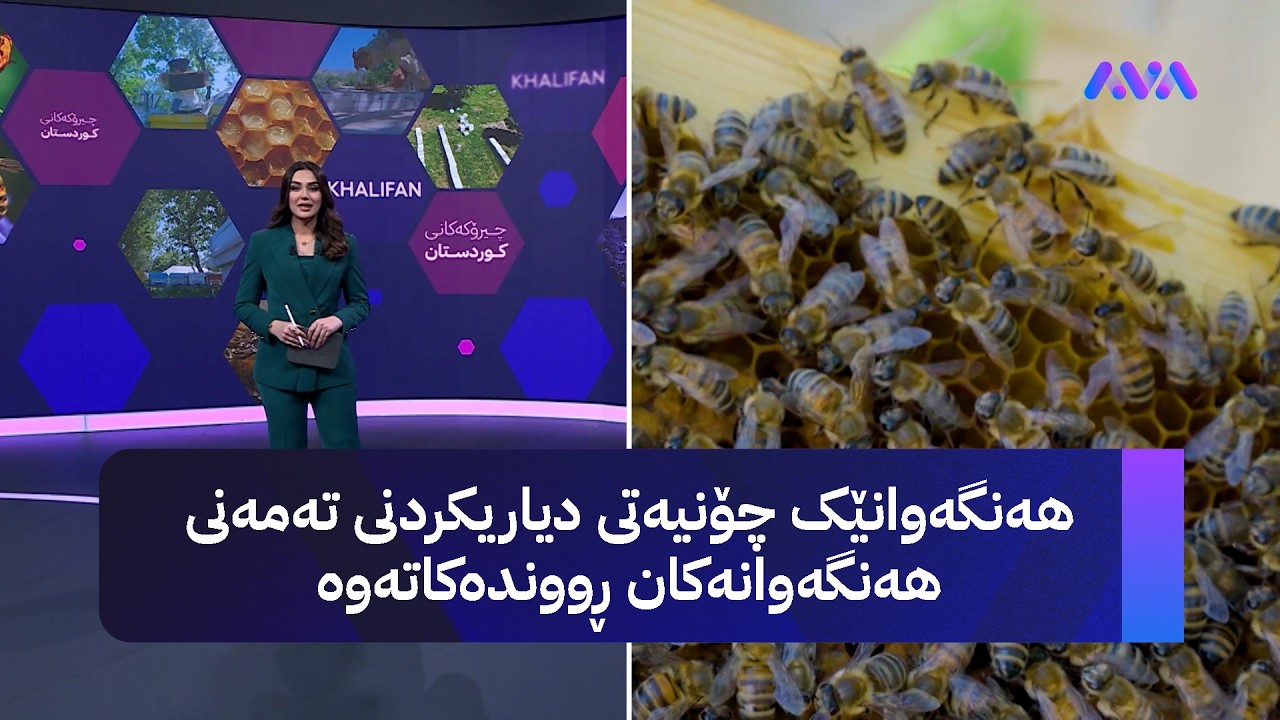 ڤیدیۆ | هاونیشتمانییەکی خەلیفان ژیانی خۆی بۆ کاری هەنگەوانی تەرخانکردووە