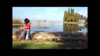 &quot;Little Apple&quot; by The Open Sea