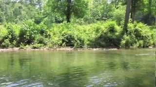 preview picture of video 'Hunting Creek/Big Otter River'